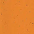 Aprikosenorange