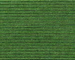 580 Apfel