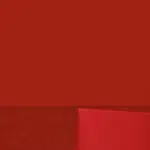 Rot