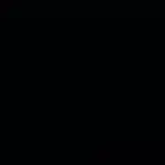 Polyester 250 schwarz