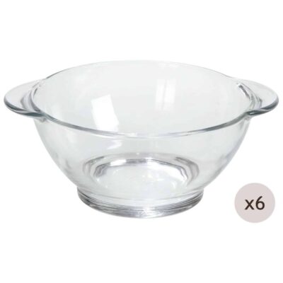 Schale mit Griffen transparent 6er Set - Geschirr aus Hartglas