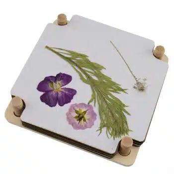 Blumenpresse