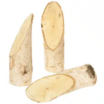 Birkenstämmchen 5er Set