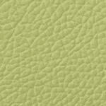 Lime 048 Kunstleder