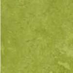 Linoleum Grün 131-006