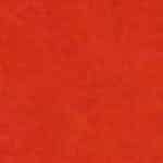 Linoleum Rot 131-118