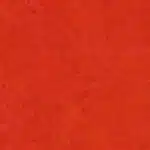 Linoleum Rot 131-118