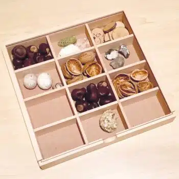 Sortierbox mit Schiebedeckel, groß - Beleduc