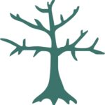 Baum
