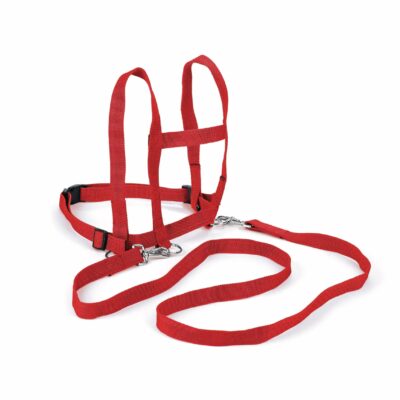Laufleine Nylon