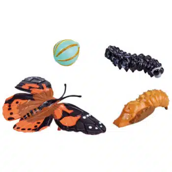 Lebenszyklus-Figuren: Schmetterling