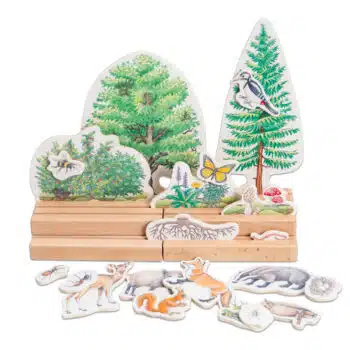 Stockwerke des Waldes