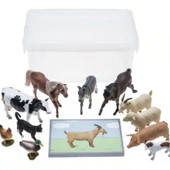 Tiere zuordnen