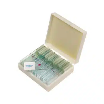 Präparate-Set 2