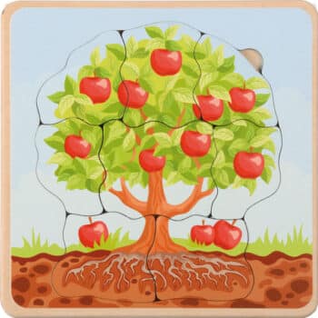 Lebenszyklen Puzzle Apfelbaum