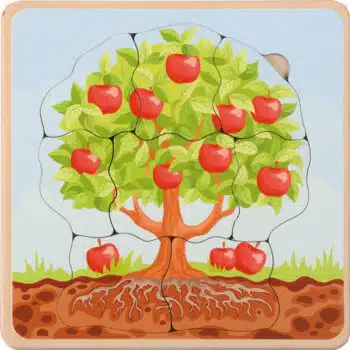 Lebenszyklen Puzzle Apfelbaum