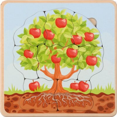Lebenszyklen Puzzle Apfelbaum