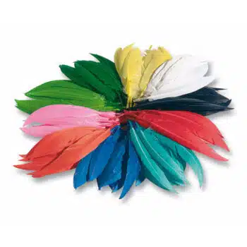 Bunte Federmischung