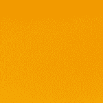 1017 Orange