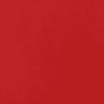 3104 Rot