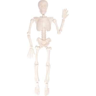 Sandformen menschliches Skelett